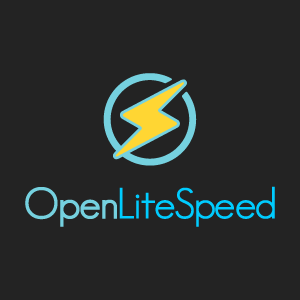 Chasi Products Core OpenLiteSpeed 4